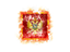 Черногория. Квадратный флаг в стиле гранж. Скачать иллюстрацию.