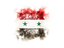  Syria