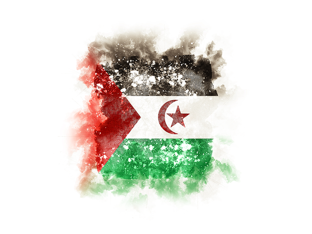 Square grunge flag. Download flag icon of Western Sahara at PNG format