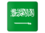  Saudi Arabia