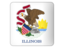 Flag of state of Illinois. Square icon. Download icon