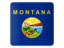 Flag of state of Montana. Square icon. Download icon