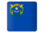 Flag of state of Nevada. Square icon. Download icon