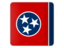 Flag of state of Tennessee. Square icon. Download icon