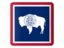 Flag of state of Wyoming. Square icon. Download icon