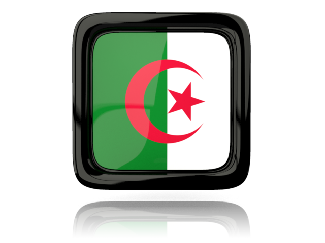 Square icon with reflection. Download flag icon of Algeria at PNG format