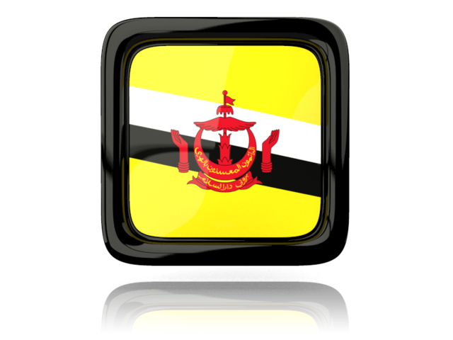 Square icon with reflection. Download flag icon of Brunei at PNG format