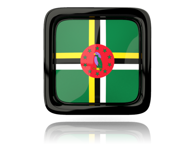 Square icon with reflection. Download flag icon of Dominica at PNG format