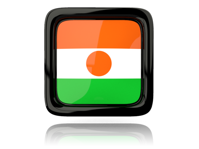 Square icon with reflection. Download flag icon of Niger at PNG format
