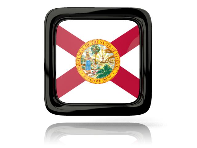 Square icon with reflection. Download flag icon of Florida