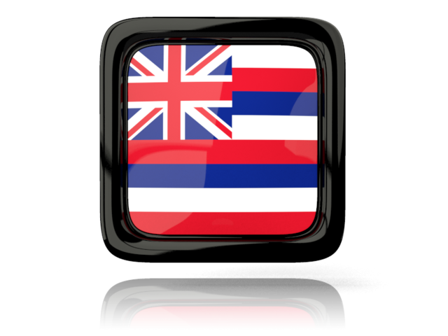 Square icon with reflection. Download flag icon of Hawaii