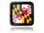 Flag of state of Maryland. Square icon with reflection. Download icon