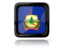 Flag of state of Vermont. Square icon with reflection. Download icon