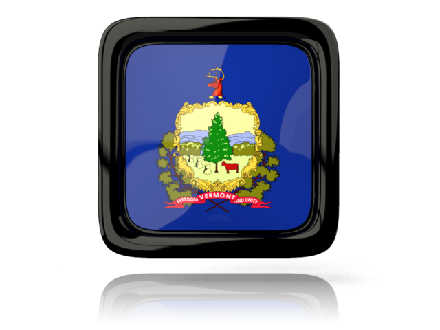 Square icon with reflection. Download flag icon of Vermont