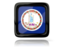 Flag of state of Virginia. Square icon with reflection. Download icon