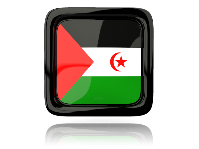 Square icon with reflection. Download flag icon of Western Sahara at PNG format
