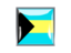 Bahamas. Metal framed square icon. Download icon.