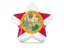 Flag of state of Florida. Star icon. Download icon