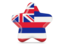 Flag of state of Hawaii. Star icon. Download icon