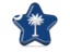 Flag of state of South Carolina. Star icon. Download icon