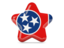 Flag of state of Tennessee. Star icon. Download icon