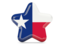 Flag of state of Texas. Star icon. Download icon