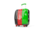 Afghanistan. Suitcase with flag. Download icon.