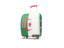 Algeria. Suitcase with flag. Download icon.