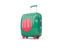 Bangladesh. Suitcase with flag. Download icon.