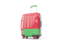 Belarus. Suitcase with flag. Download icon.