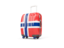 Bouvet Island. Suitcase with flag. Download icon.