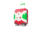 Burundi. Suitcase with flag. Download icon.