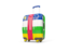 Central African Republic. Suitcase with flag. Download icon.