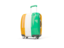 Cote d'Ivoire. Suitcase with flag. Download icon.
