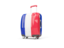 France. Suitcase with flag. Download icon.