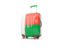 Madagascar. Suitcase with flag. Download icon.