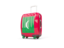 Maldives. Suitcase with flag. Download icon.