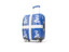 Martinique. Suitcase with flag. Download icon.