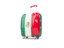 Mexico. Suitcase with flag. Download icon.