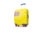 Niue. Suitcase with flag. Download icon.