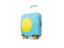 Palau. Suitcase with flag. Download icon.