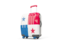 Panama. Suitcase with flag. Download icon.