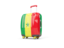 Senegal. Suitcase with flag. Download icon.