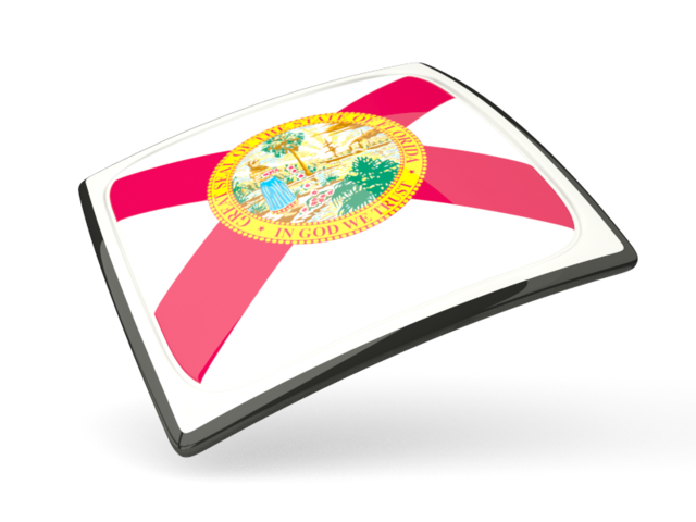 Thin square icon. Download flag icon of Florida