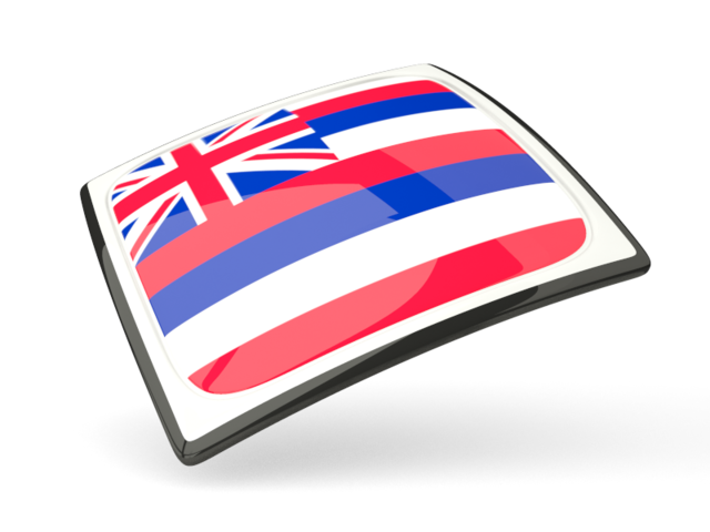 Thin square icon. Download flag icon of Hawaii