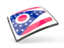 Flag of state of Ohio. Thin square icon. Download icon