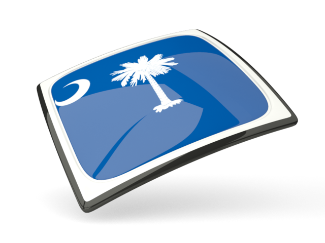 Thin square icon. Download flag icon of South Carolina