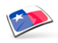 Flag of state of Texas. Thin square icon. Download icon