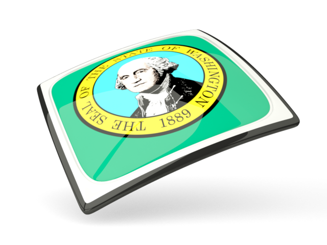 Thin square icon. Download flag icon of Washington