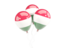 Hungary. Three balloons. Download icon.